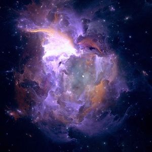 Meet your Posher, Darious